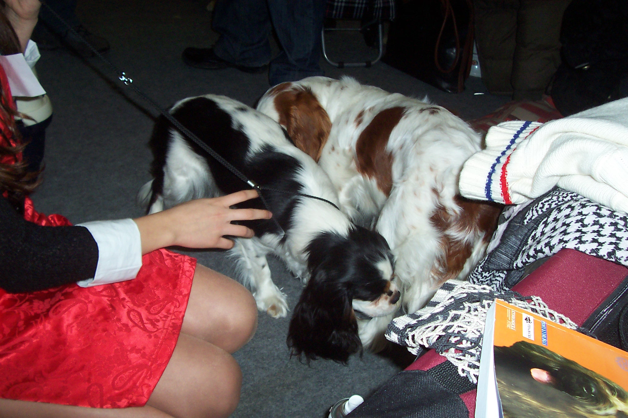100_2352.JPG