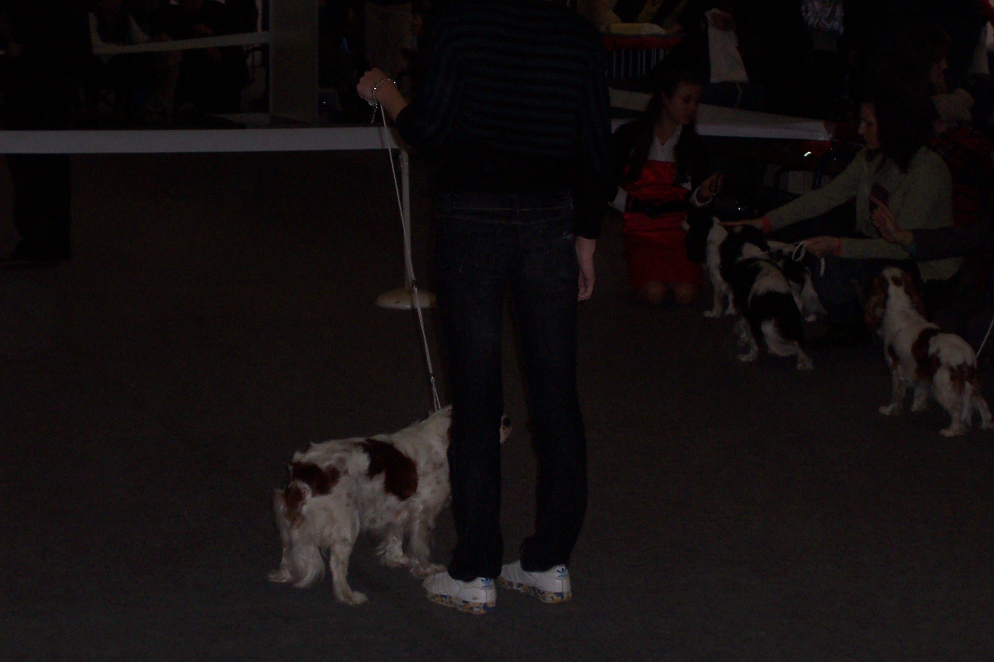 100_2366.JPG