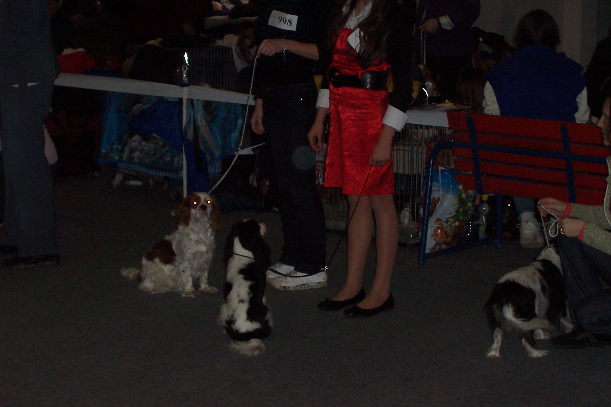 100_2374.JPG