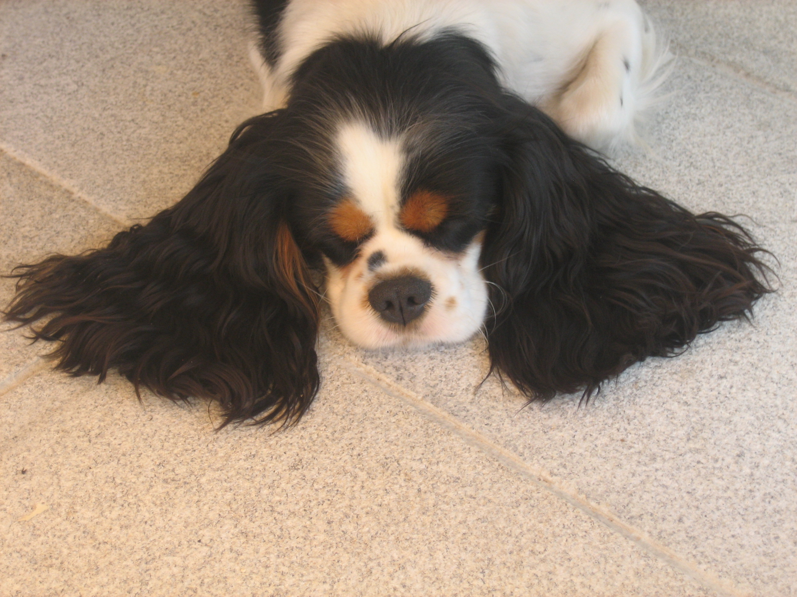 Artemis