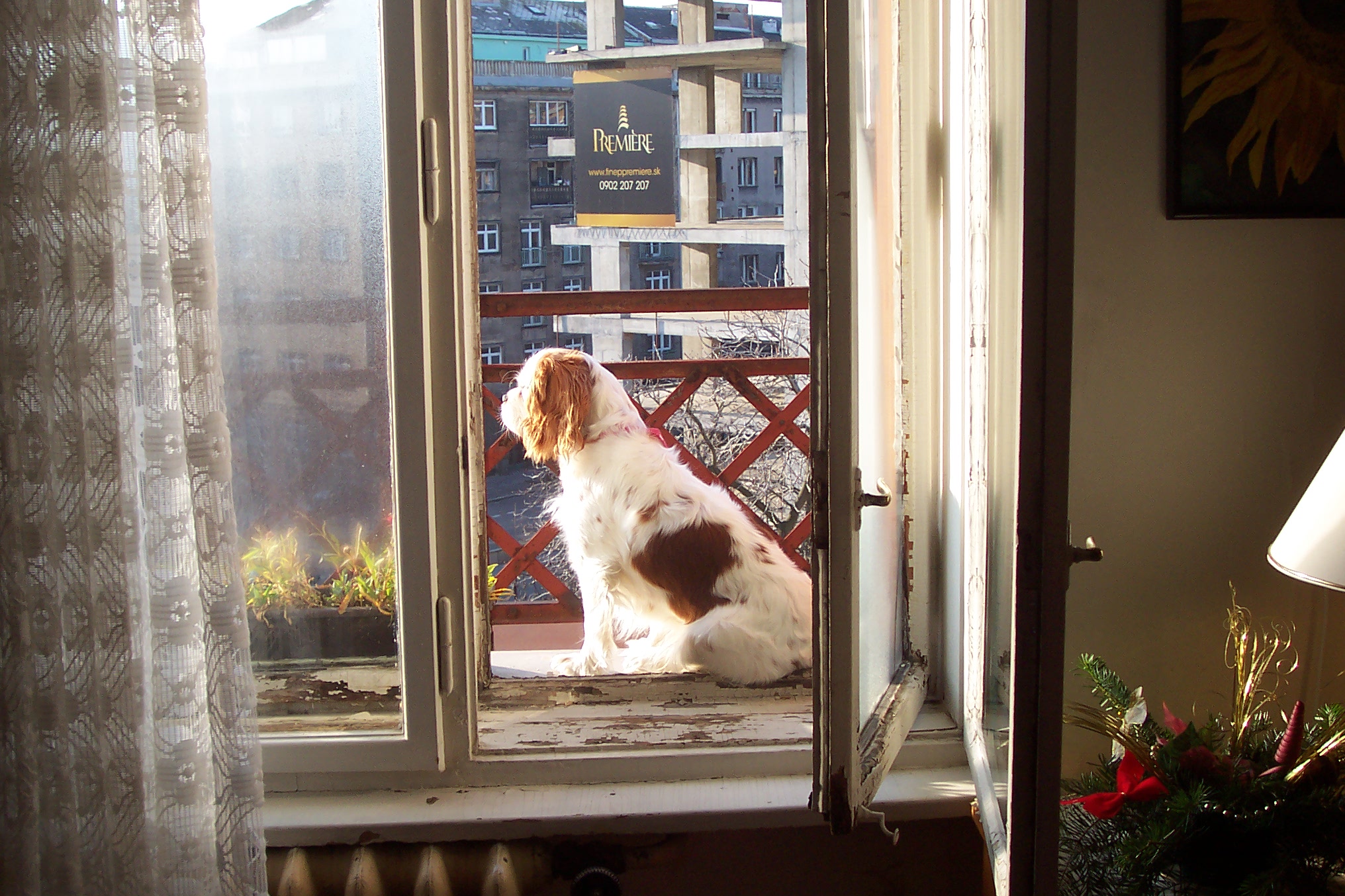 100_2336.JPG