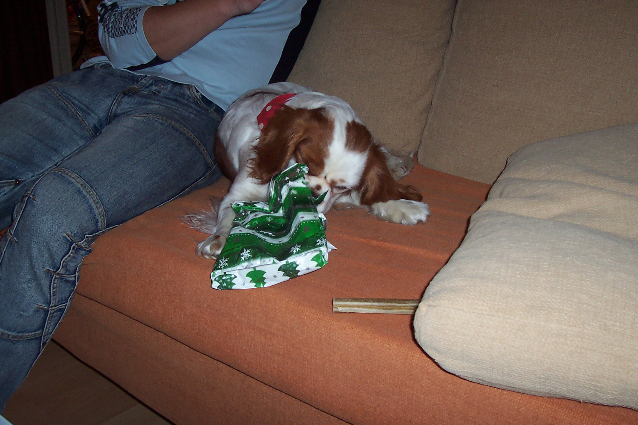 100_2338.JPG