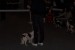 100_2366.JPG